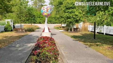 Nature Therapy | A Walk Through The Garden | Nature Touri...