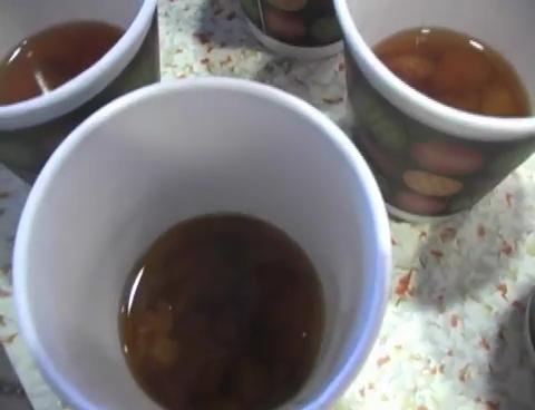 Jimmy Buffett's Daughter Opens Up About Singer's Final Days | HuffPost