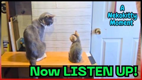 She’s Teaching Him All the Wrong Tricks! 