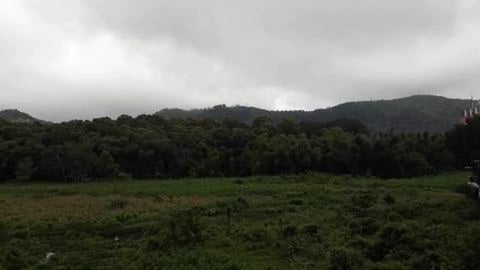 View from Jungle Palace Homestay | Periyar Tiger Reserve ...
