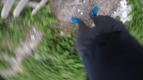 I FOUND THIS ABANDONED SCHOOL SO I TOOK A CLOSER LOOK...