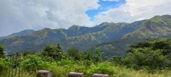 Passing Through Misty Western Ghats | Mangaluru To Bengal...