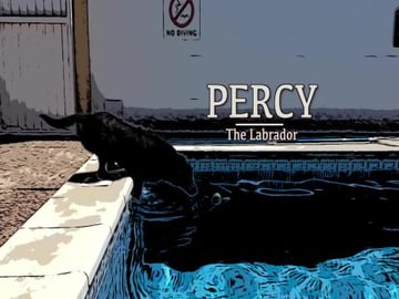 How to Make Coleslaw in 4 Minutes