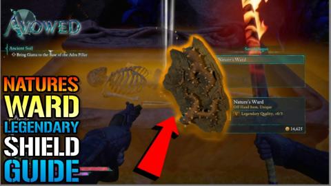 Avowed: "Natures Ward" Legendary Unique Shield Location G...