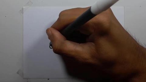 Drawing pokemon tauros shorts