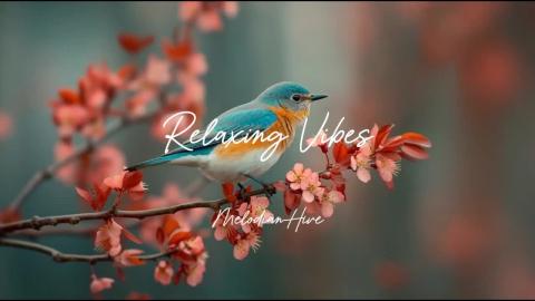 Relaxing Vibes healing audio melodian hive - Melodian