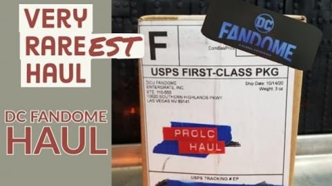 We did it America! DC Fandome Haul!