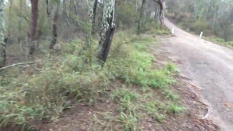 Back from our husky hike, time for a drink