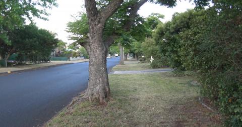 Lots of smells on the next street behind our house
