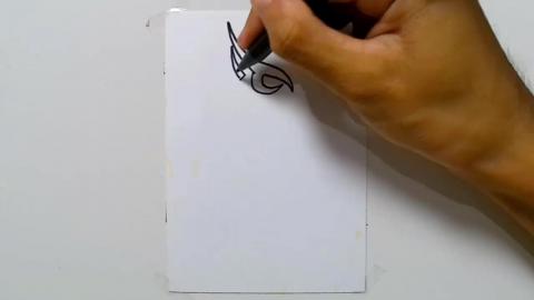 Drawing tatto v27 2024 shorts