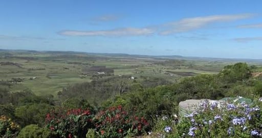 Tried to go for a hike with Wolf & Tikaani, but tracks ar...