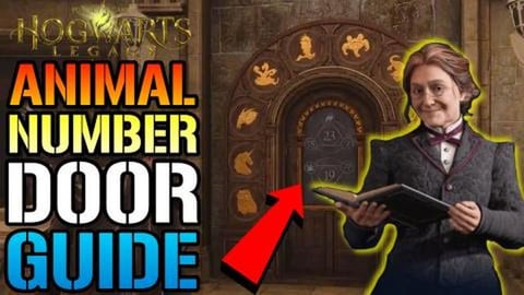 Hogwarts Legacy: Animal Puzzle Numbers Guide! How To Unlo...