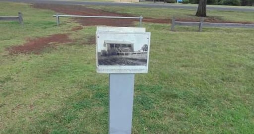 Visiting a new area with the husky's