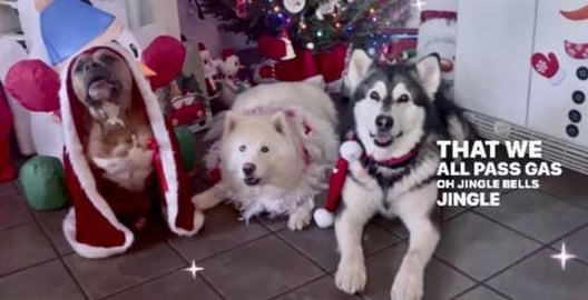 Christmas Concert | Parody’s by The Water Wolves and A ...