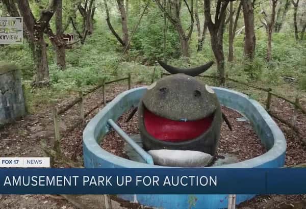 Amusement park up for auction