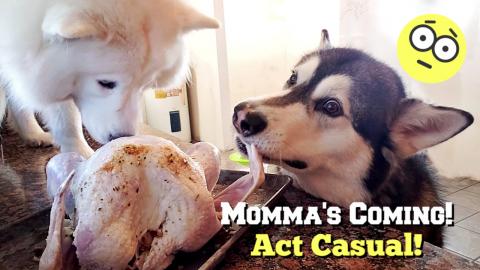 Tonka Tells On Monroe | Says She Jumped On Counter And At...