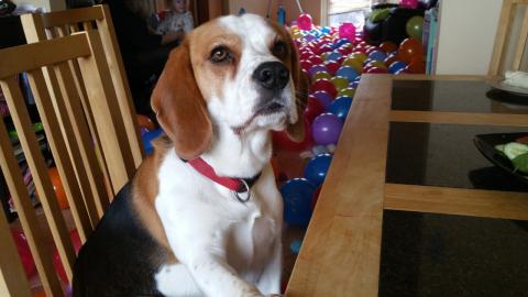 This wasn't the best idea 