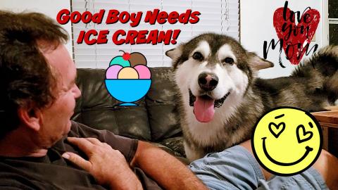 My Dog | Refuses To Be Ignored | We Have A Conversation |...