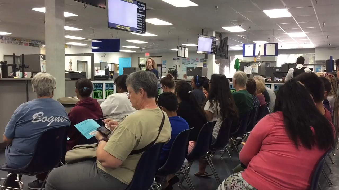 BackSeat Driver How to avoid long waits at California DMV The