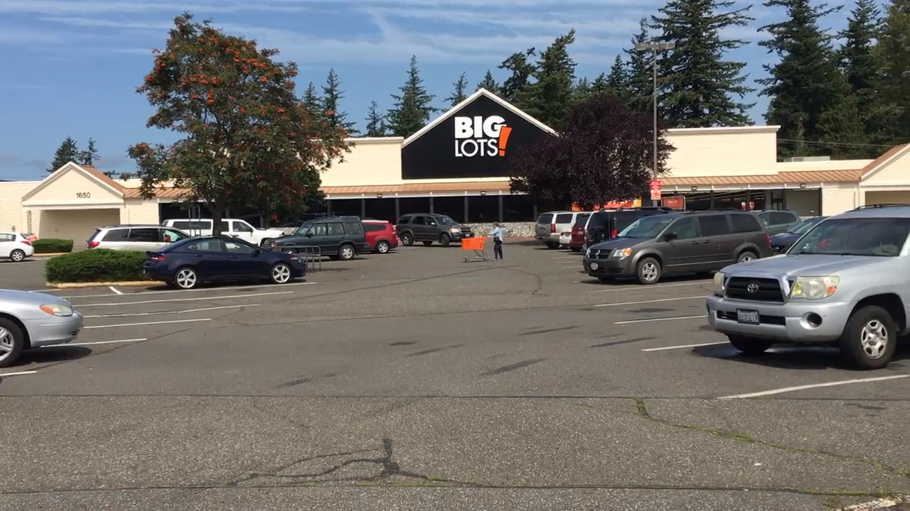 Big Lots opens at new location | Bellingham Herald