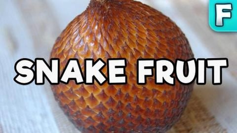 Salak Fruit | Fruits You've Never Heard Of