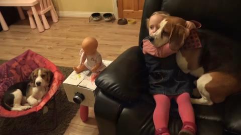 Little girl and dogs help mom to make home projector
