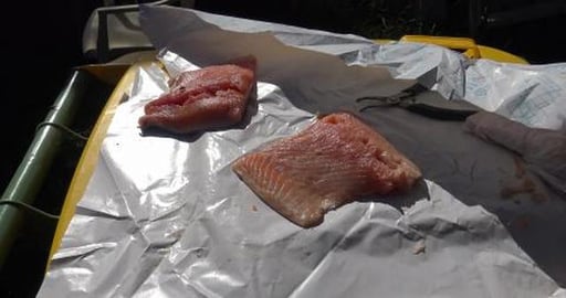 There is a technique to eating salmon, shaking does not w...