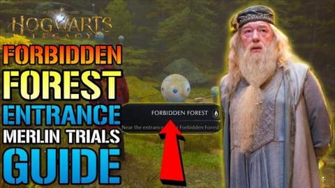 Hogwarts Legacy: Merlin Trials "Forbidden Forest" Entranc...