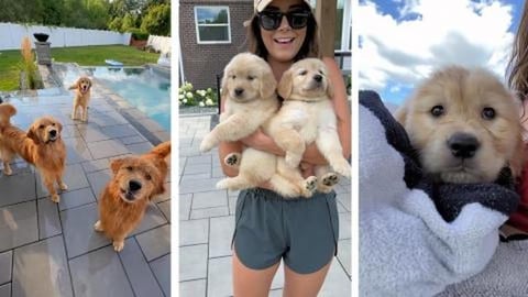 The Best Reunion Ever!