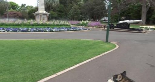 Huskies go to Queens Park to see the Flower Festival