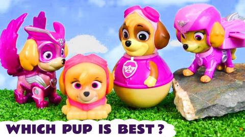 Which Paw Patrol pup is best for these Rescues?