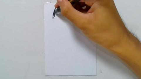 Drawing tatto v25 2024