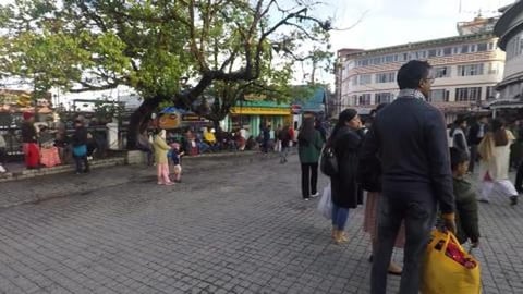 Darjeeling Vibes All Around | West Bengal