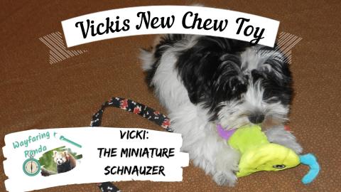 Vicki's New Teether Toy