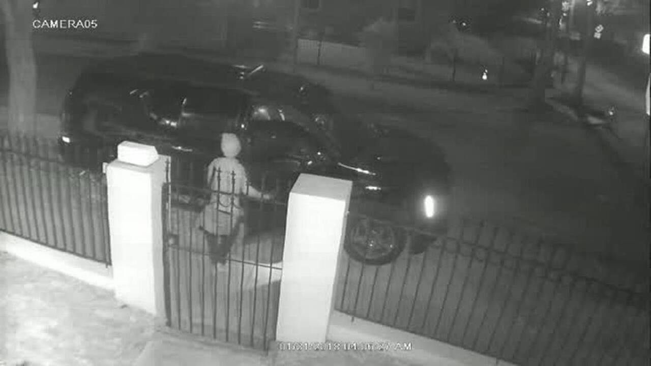 Miami Car Burglars Caught On Video Macon Telegraph