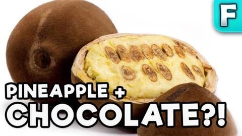 Cupuacu | Fruits You've Never Heard Of