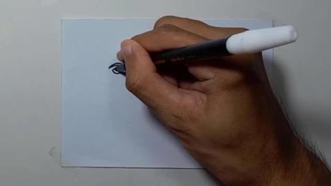 Drawing graffiti great-white-shark-mascot shorts