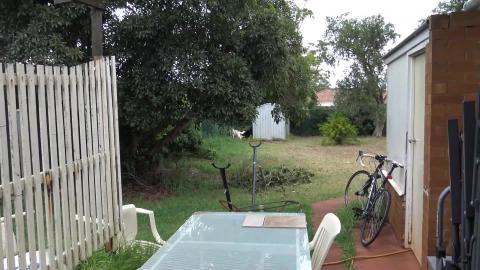 Lets get some work done for a shed and verandah