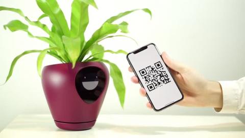 Lua, smart planter