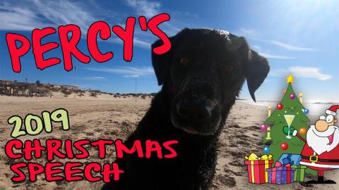 Percy at Christmas 2019