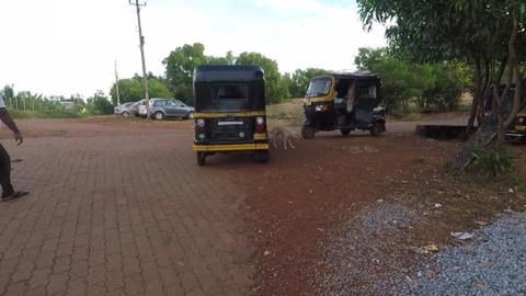 Way To Kudle Beach | Gokarna