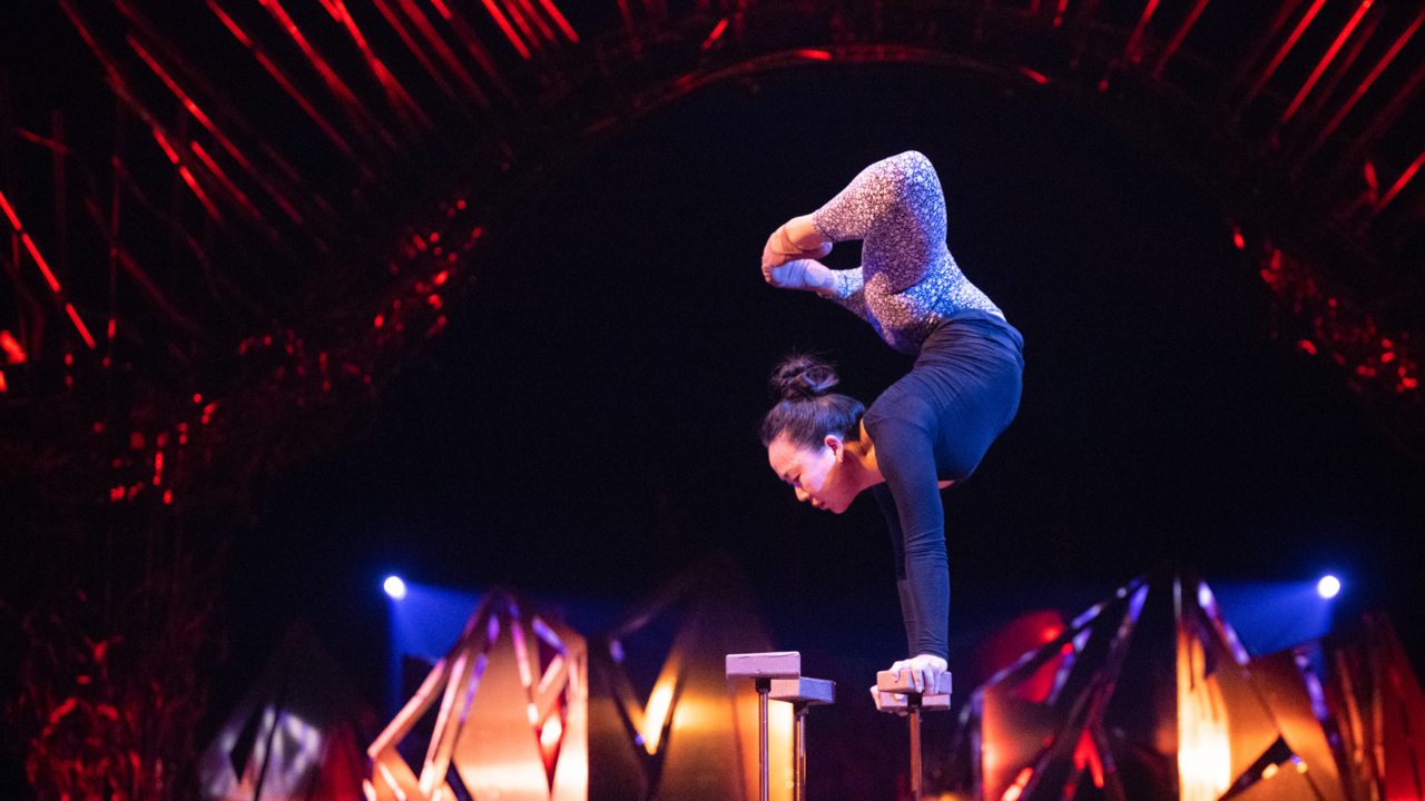 Cirque du Soleil Performer Looks To Enchant - The Sacramento Observer
