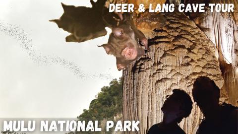 Deer Cave, Lang Cave & Bat Exodus | Mulu National Park | ...