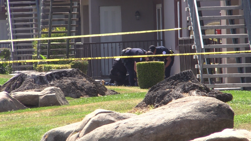 Woman Shot In The Head At A Fresno Apartment Complex Suspect Detained Fresno Bee 