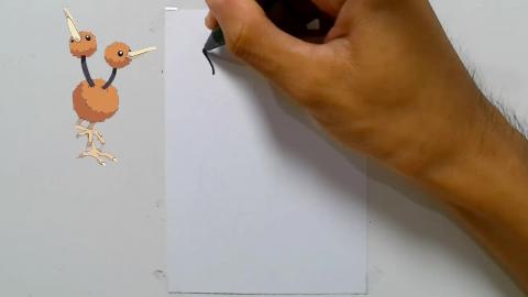 Drawing Pokemon doduo