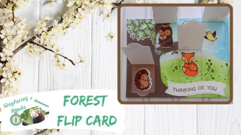 Lift the Flap Forest Card