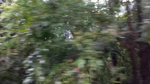 Vistadome Journey In The Rain | Mangaluru To Bengaluru