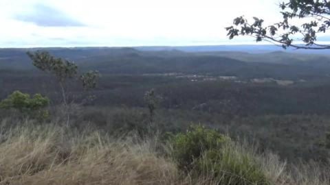 View at Mount Lofty, & trying to go on a Husky hike
