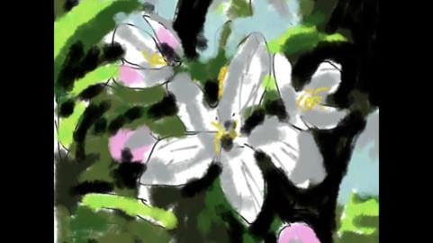 Painting Apple Blossoms in the Garden. A Timelapse Video ...