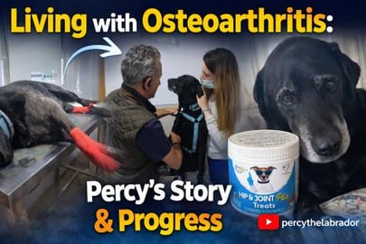 Living with Osteoarthritis: Percy’s Story & Progress